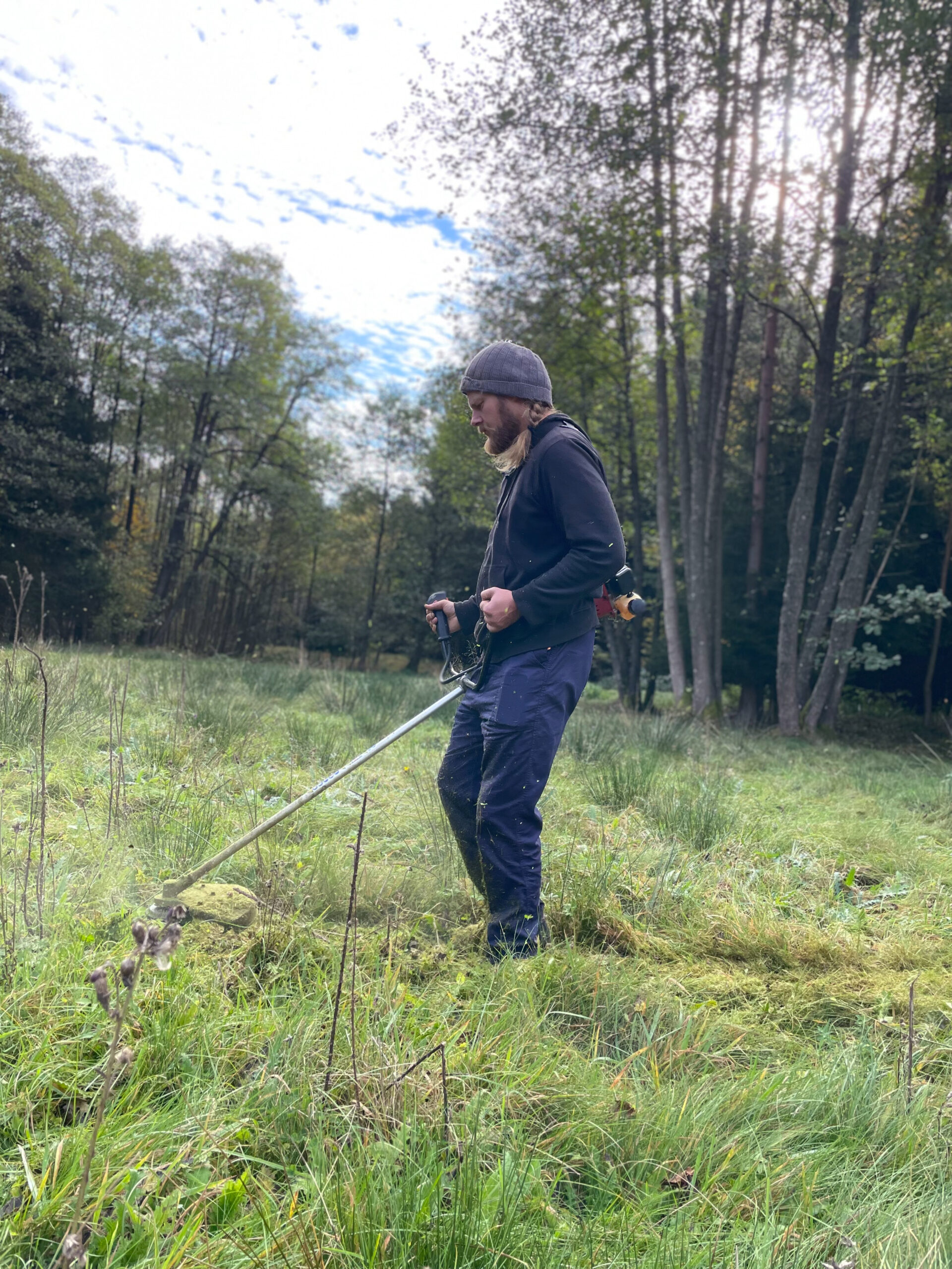 Read more about the article Lustweide wächst mit